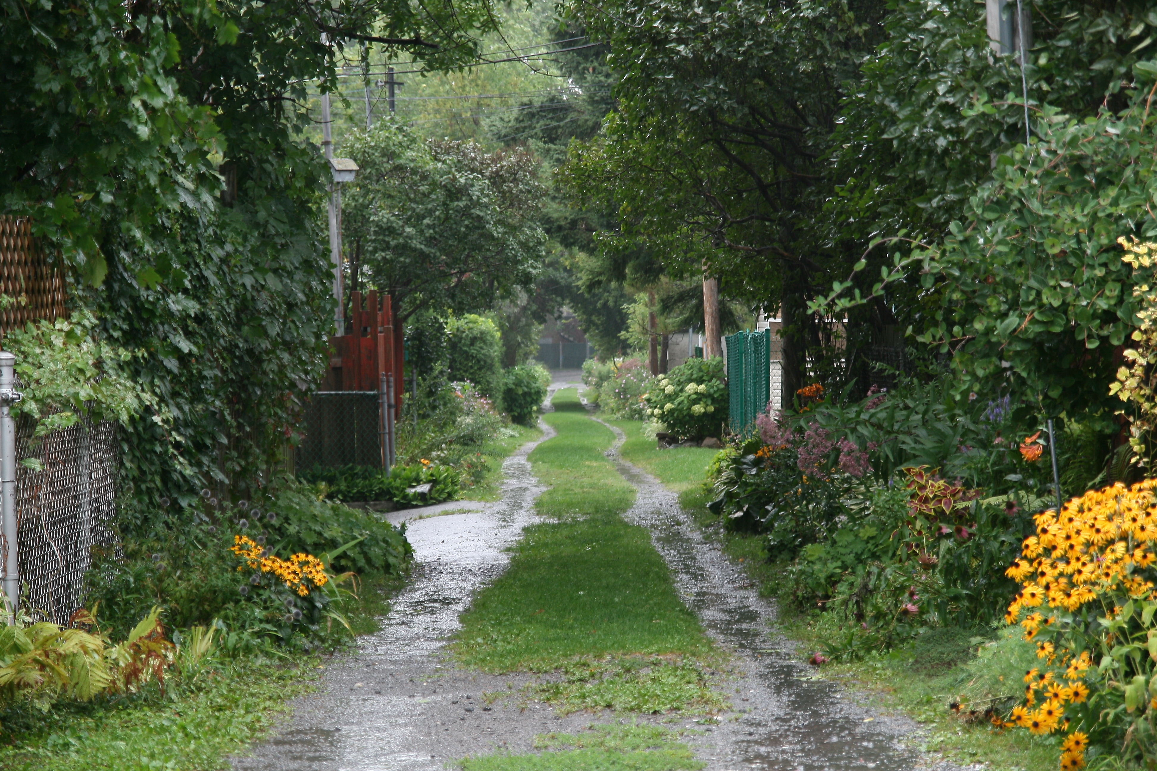 Montreal commits to biodiversity and quality of life: zero net loss by 2030