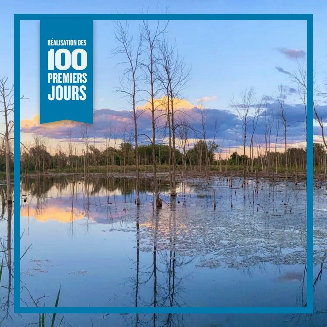 Les 100 jours de l'administration Plante-Ollivier : La Ville de Montréal augmente la superficie protégée des milieux naturels du Technoparc