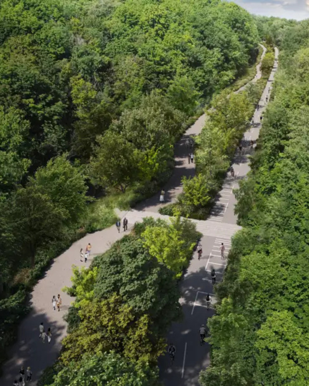 Luc Rabouin wants to postpone the Camillien-Houde project and focus on the priorities of Montrealers.