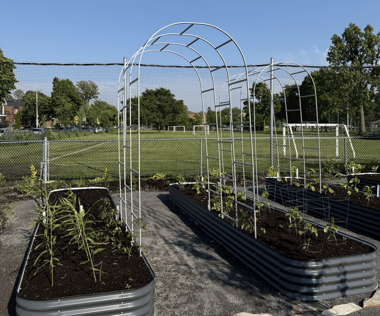 Inauguration of the Fielding garden: the first vertical solidarity garden in Montreal