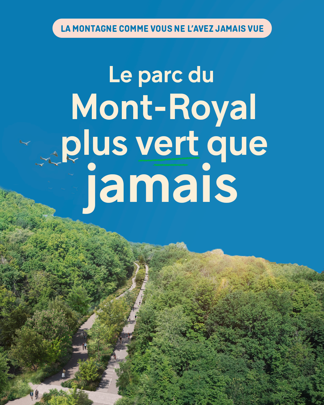 Parc du Mont-Royal - Une montagne plus grande, plus verte et plus sécuritaire