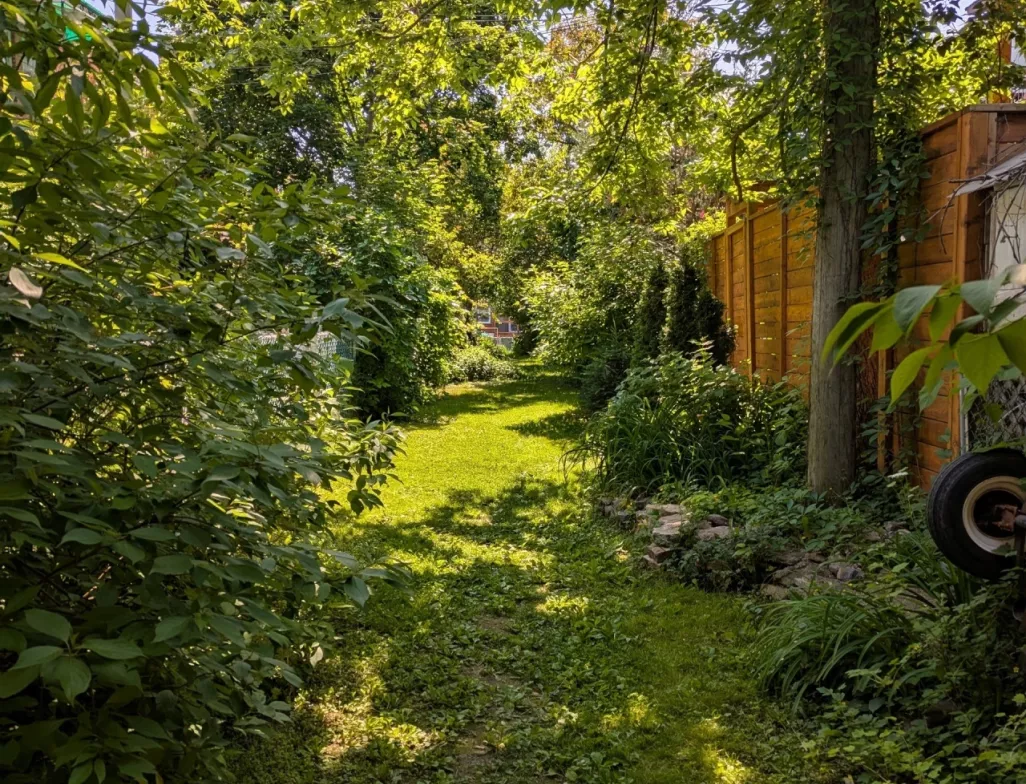 Les ruelles vertes : une transition écologique portée par les citoyen·ne·s