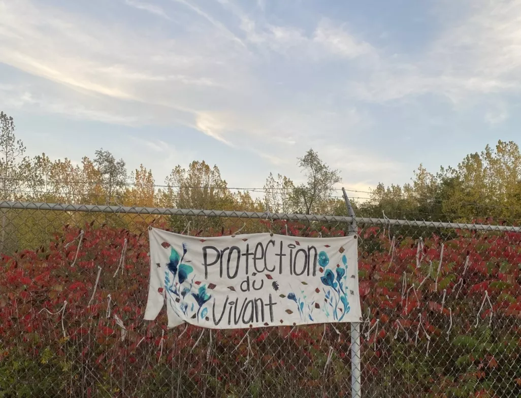 Projet Montréal s’engage à protéger pour toujours la friche, le boisé Steinberg et le boisé Vimont grâce à une fiducie d’utilité sociale