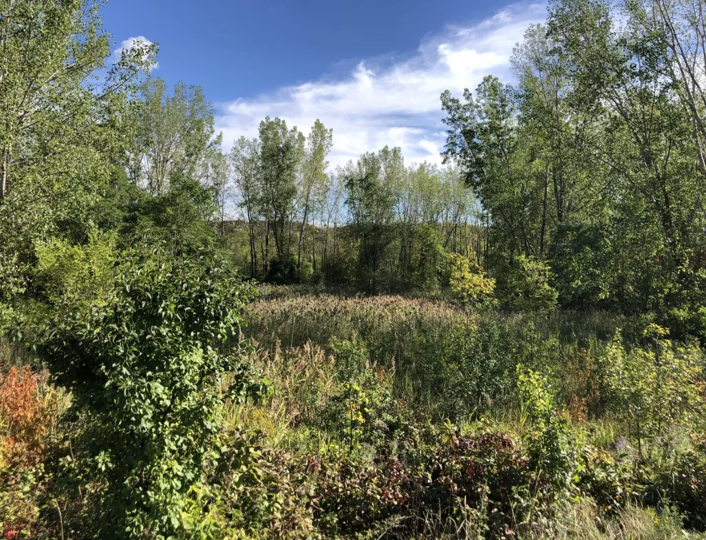 Projet Montréal fera de la protection des espaces verts d’Anjou une priorité avec une équipe solide