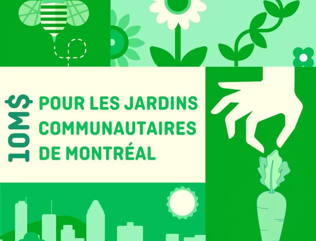 La Ville de Montréal investit 10 M$ dans ses jardins communautaires