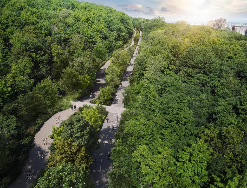 Pour un parc du Mont-Royal plus vert et plus sécuritaire
