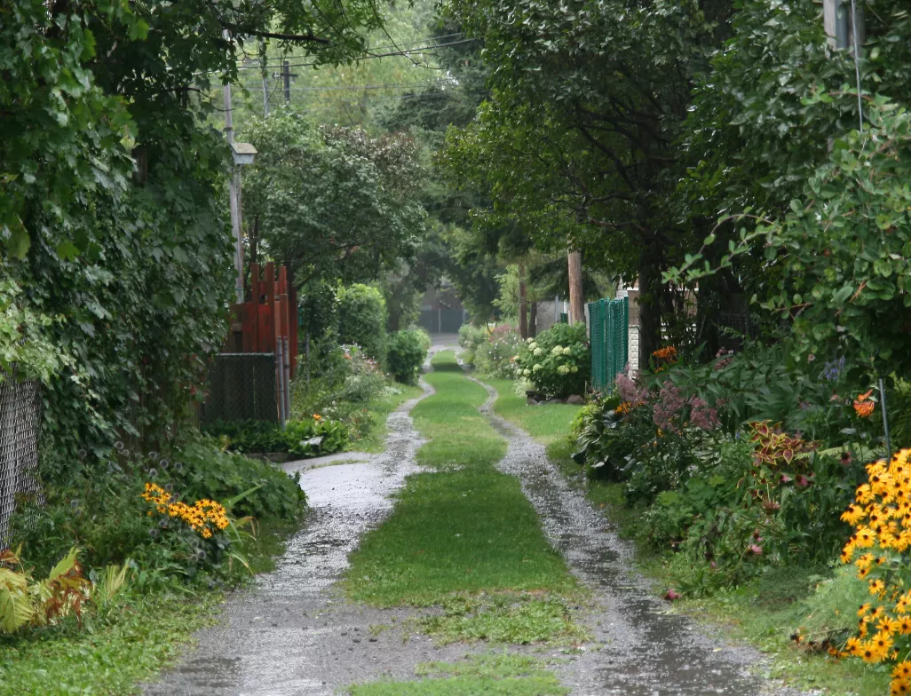 Montreal commits to biodiversity and quality of life: zero net loss by 2030