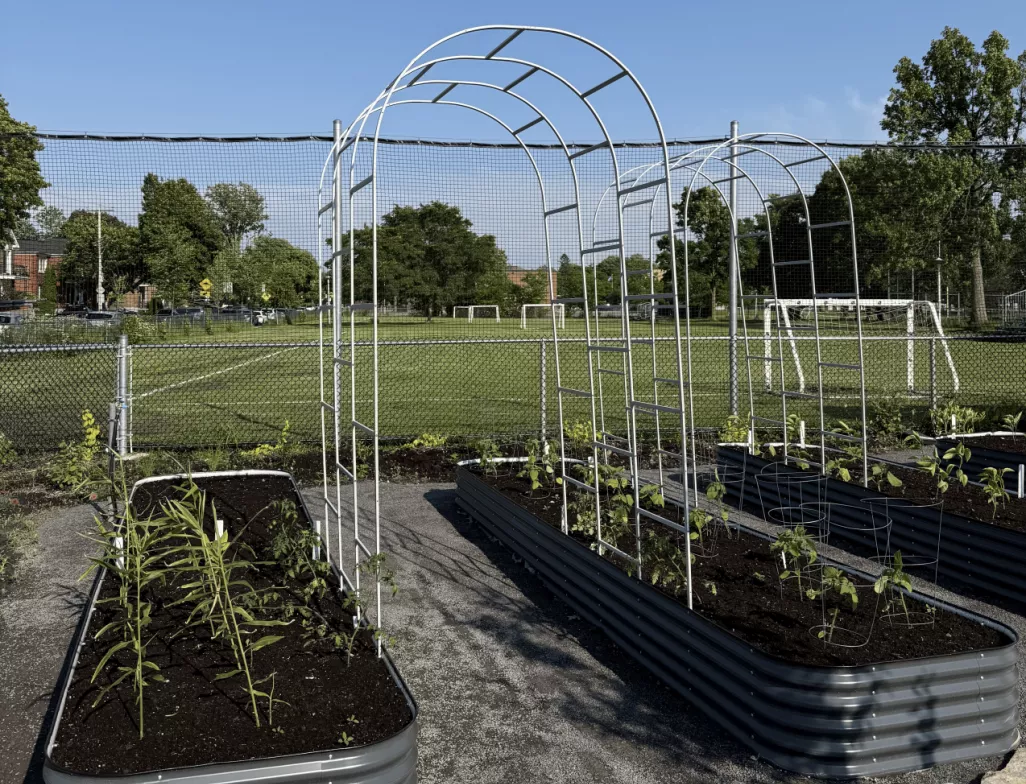 Inauguration du jardin Fielding : un premier jardin solidaire vertical à Montréal