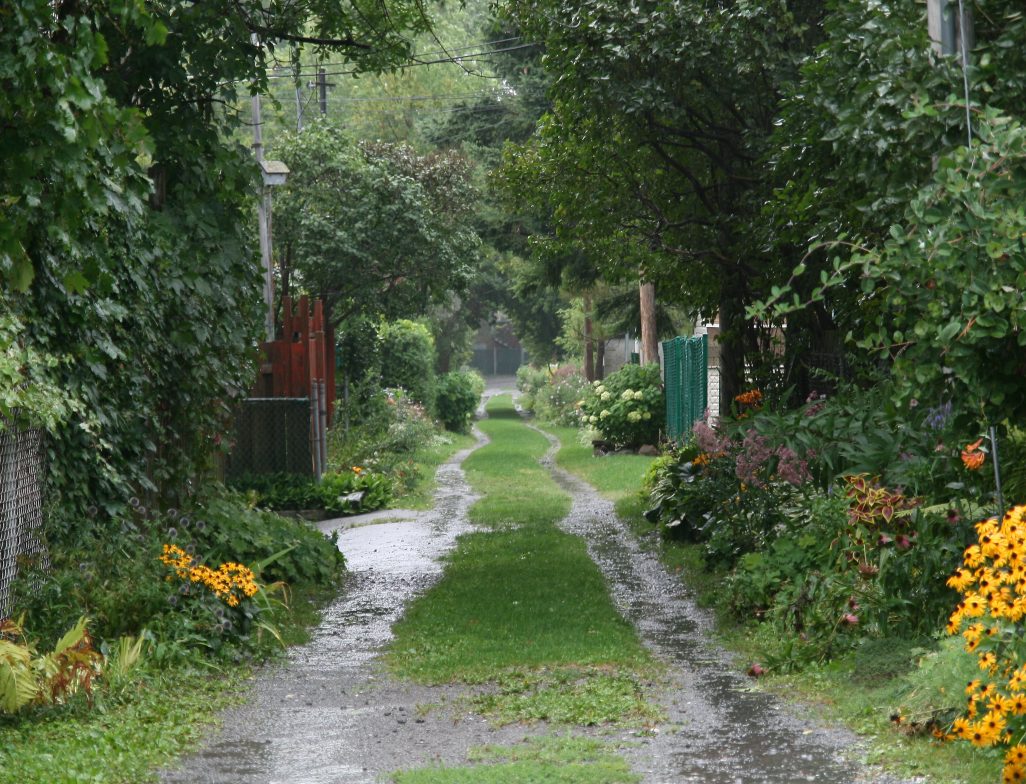 Montreal commits to biodiversity and quality of life: zero net loss by 2030