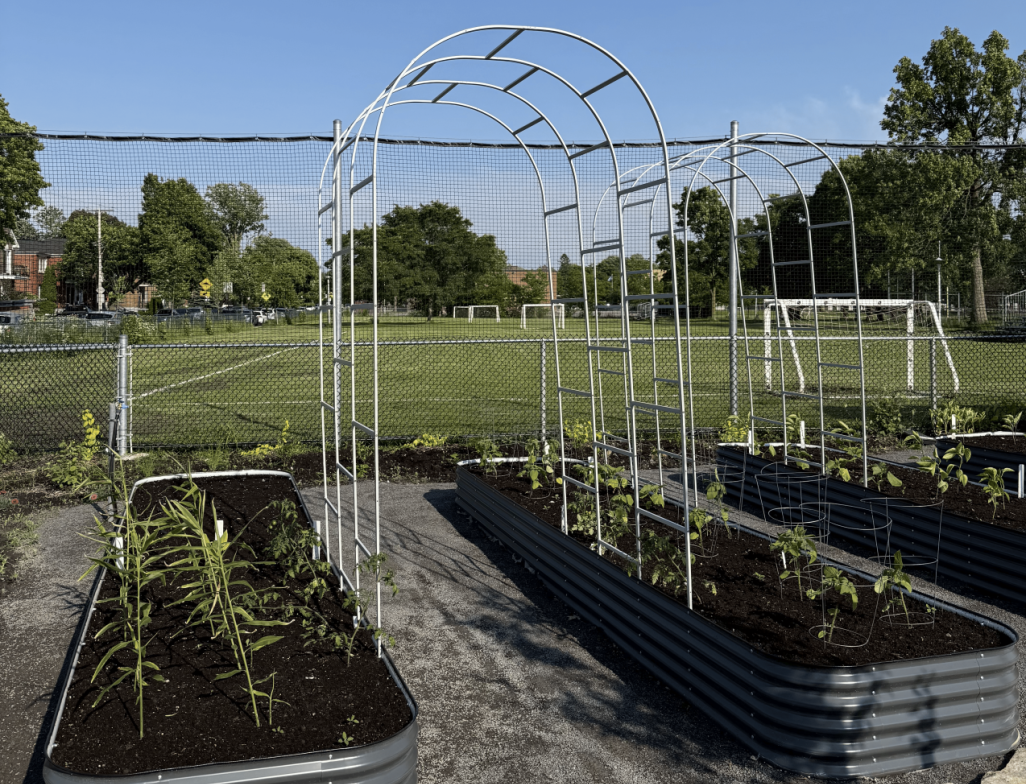 Inauguration du jardin Fielding : un premier jardin solidaire vertical à Montréal