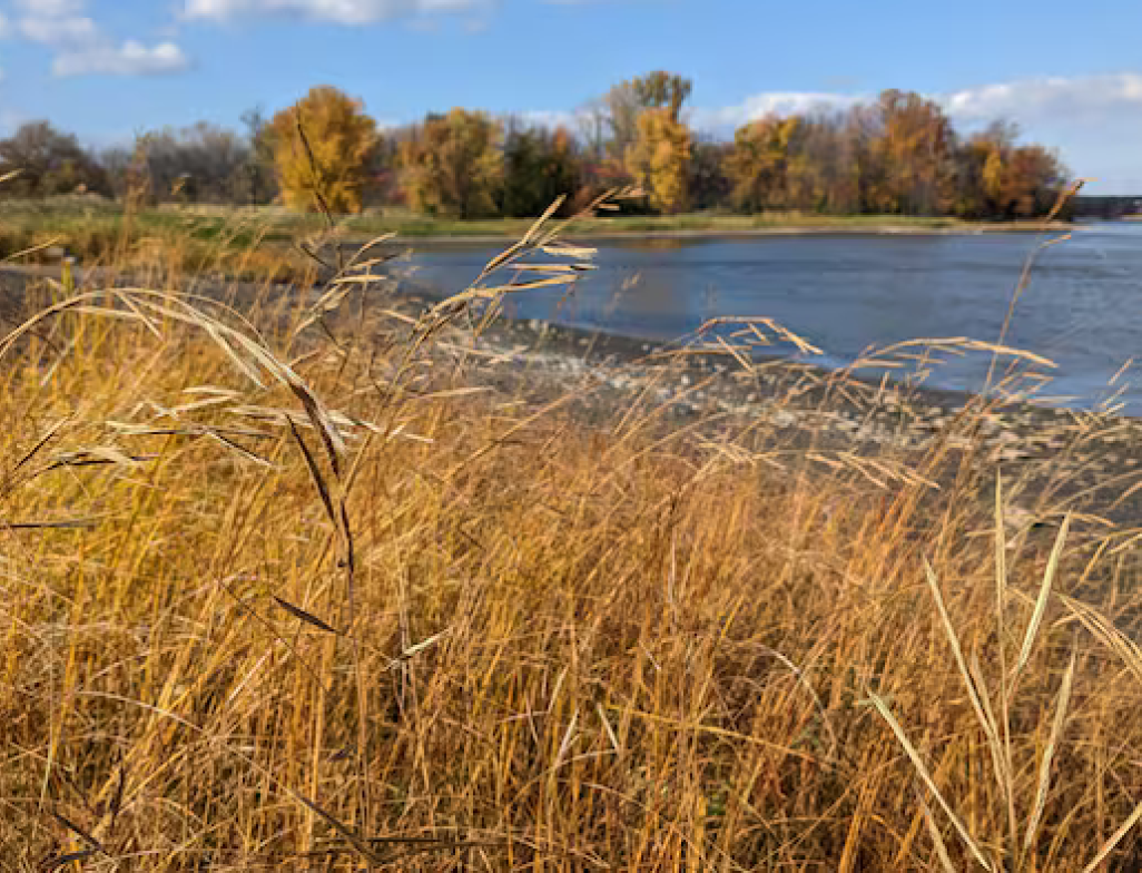 Montreal adopts a series of measures to accelerate the city's ecological and social transition