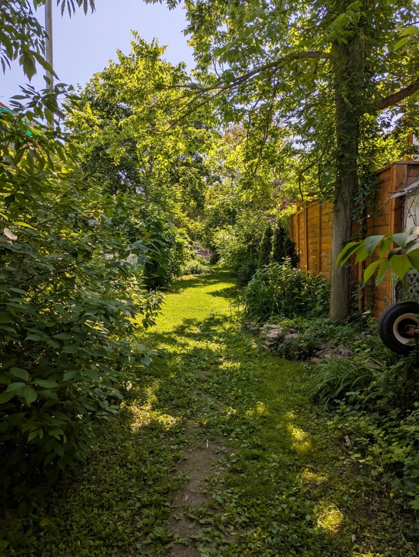 Les ruelles vertes : une transition écologique portée par les citoyen·ne·s
