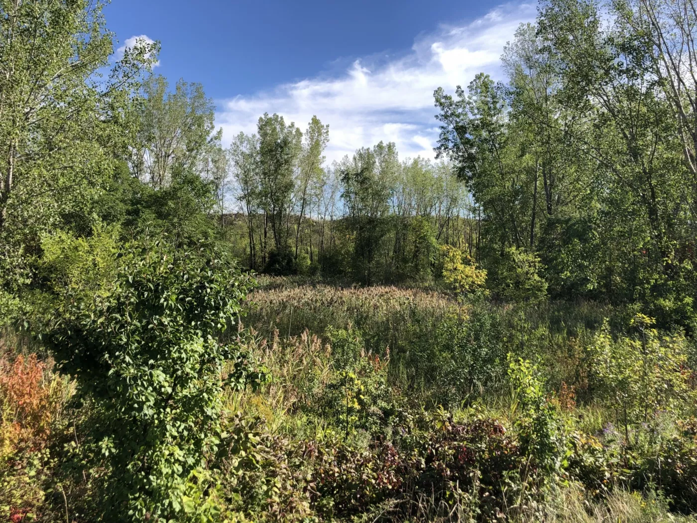 Projet Montréal fera de la protection des espaces verts d’Anjou une priorité avec une équipe solide