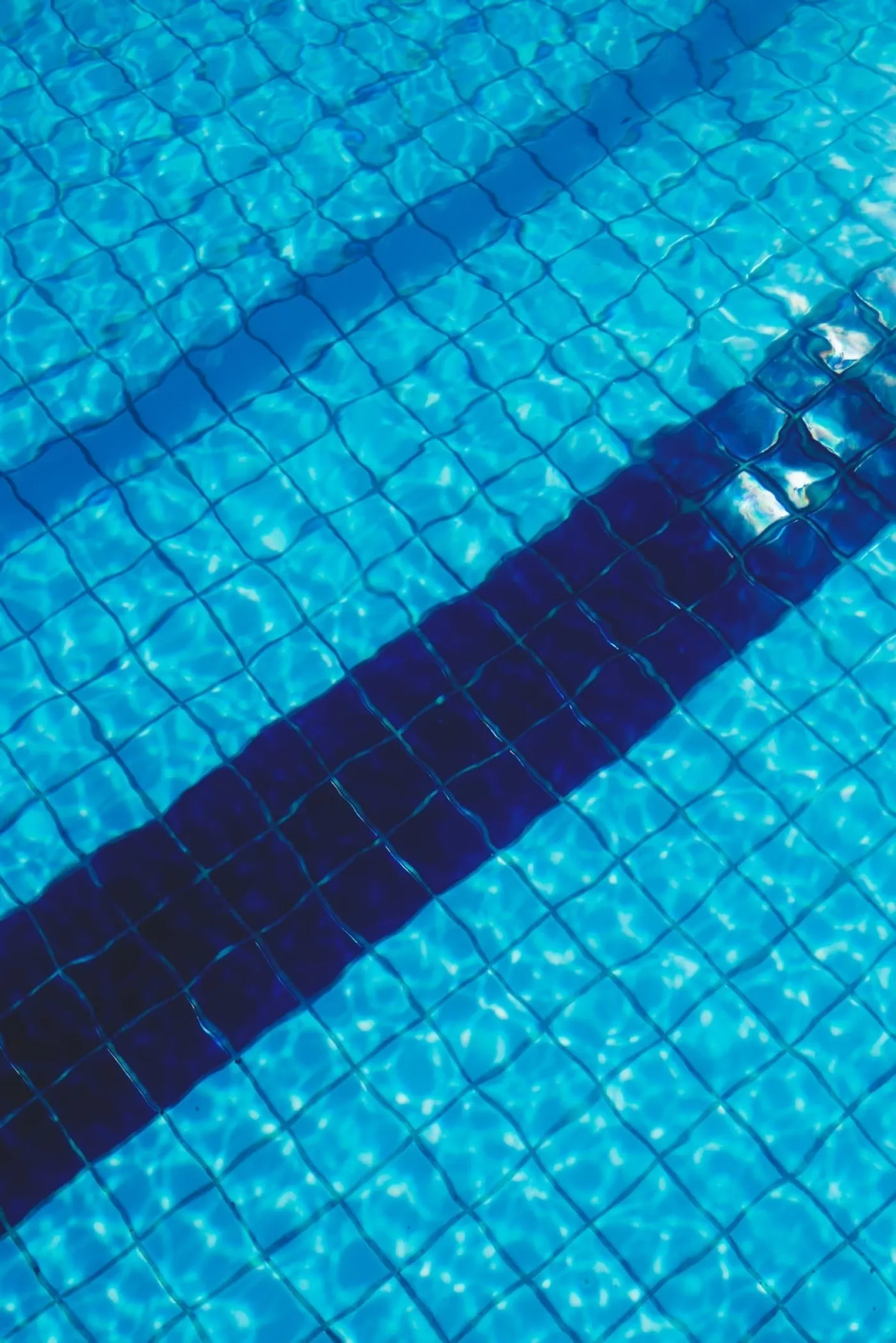 La Ville de Montréal inaugure le nouveau complexe aquatique de Rosemont