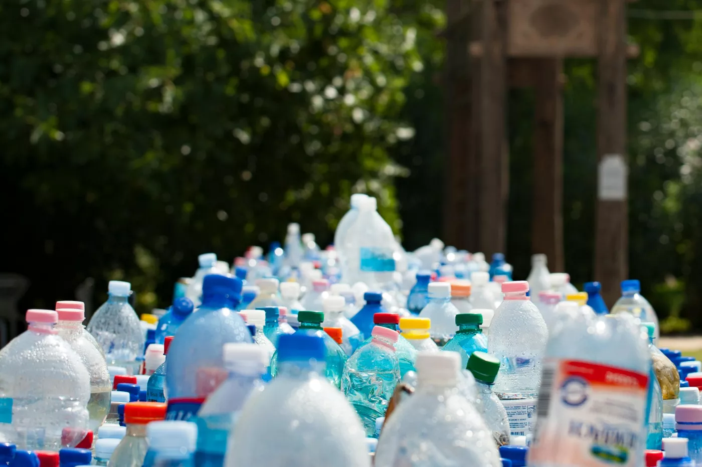 Montréal célèbre l'important recul du plastique à usage unique à l'occasion du premier anniversaire de son règlement