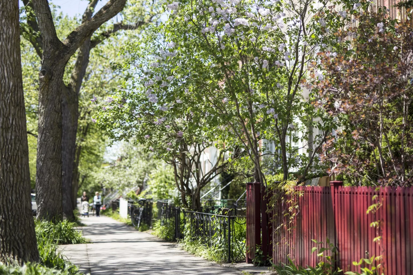 La Ville de Montréal accélère le verdissement des sites privés et institutionnels
