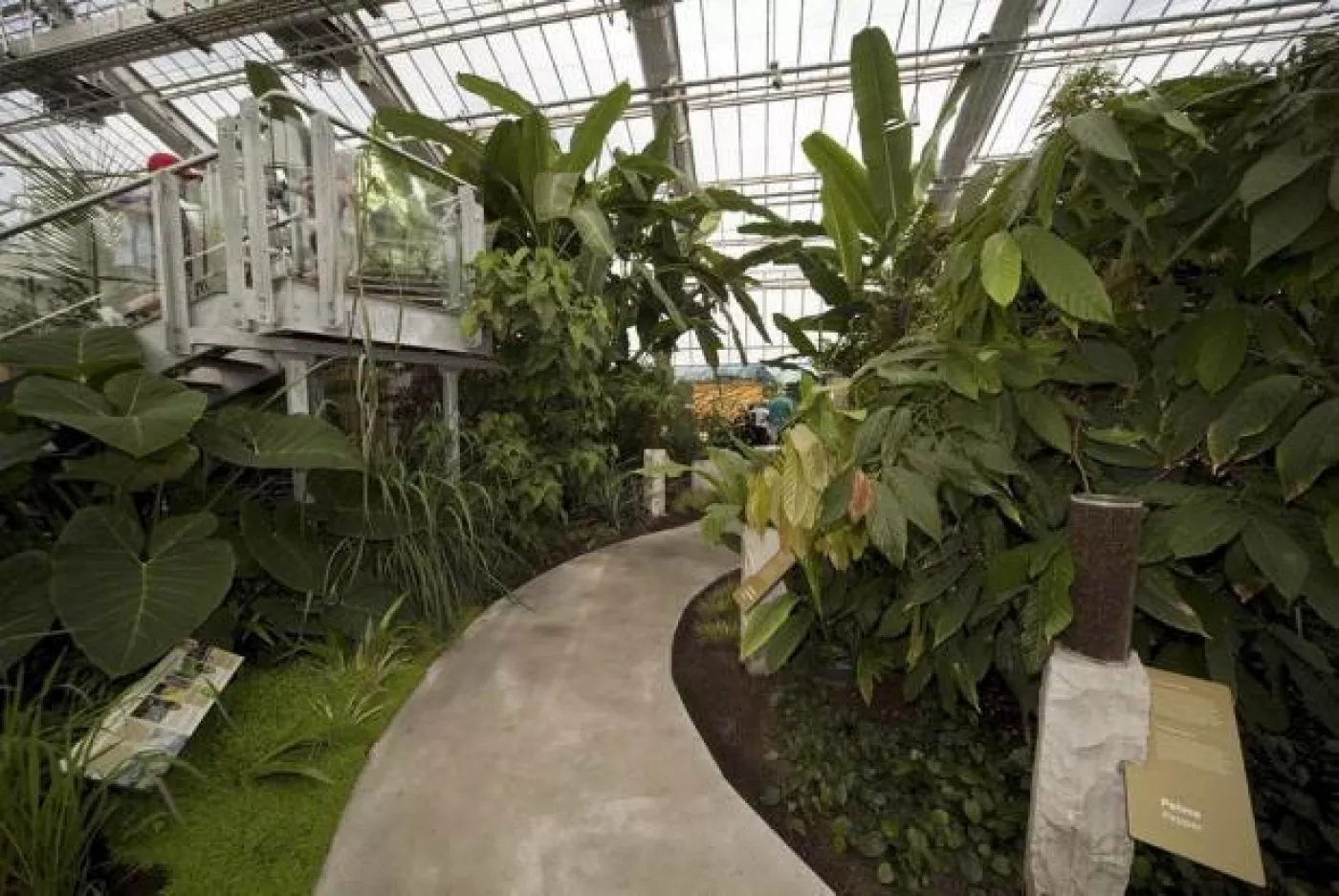 La Ville annonce un investissement majeur pour la réfection des infrastructures au Jardin botanique