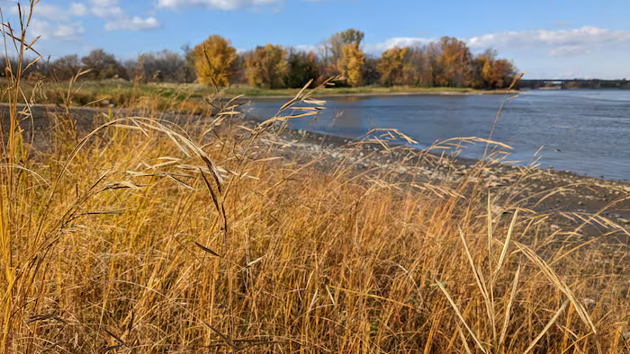 Montreal adopts a series of measures to accelerate the city's ecological and social transition