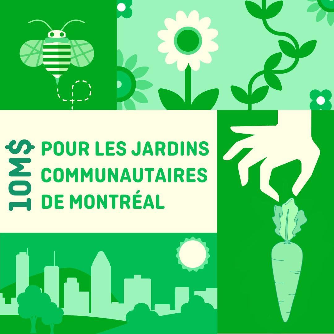 La Ville de Montréal investit 10 M$ dans ses jardins communautaires