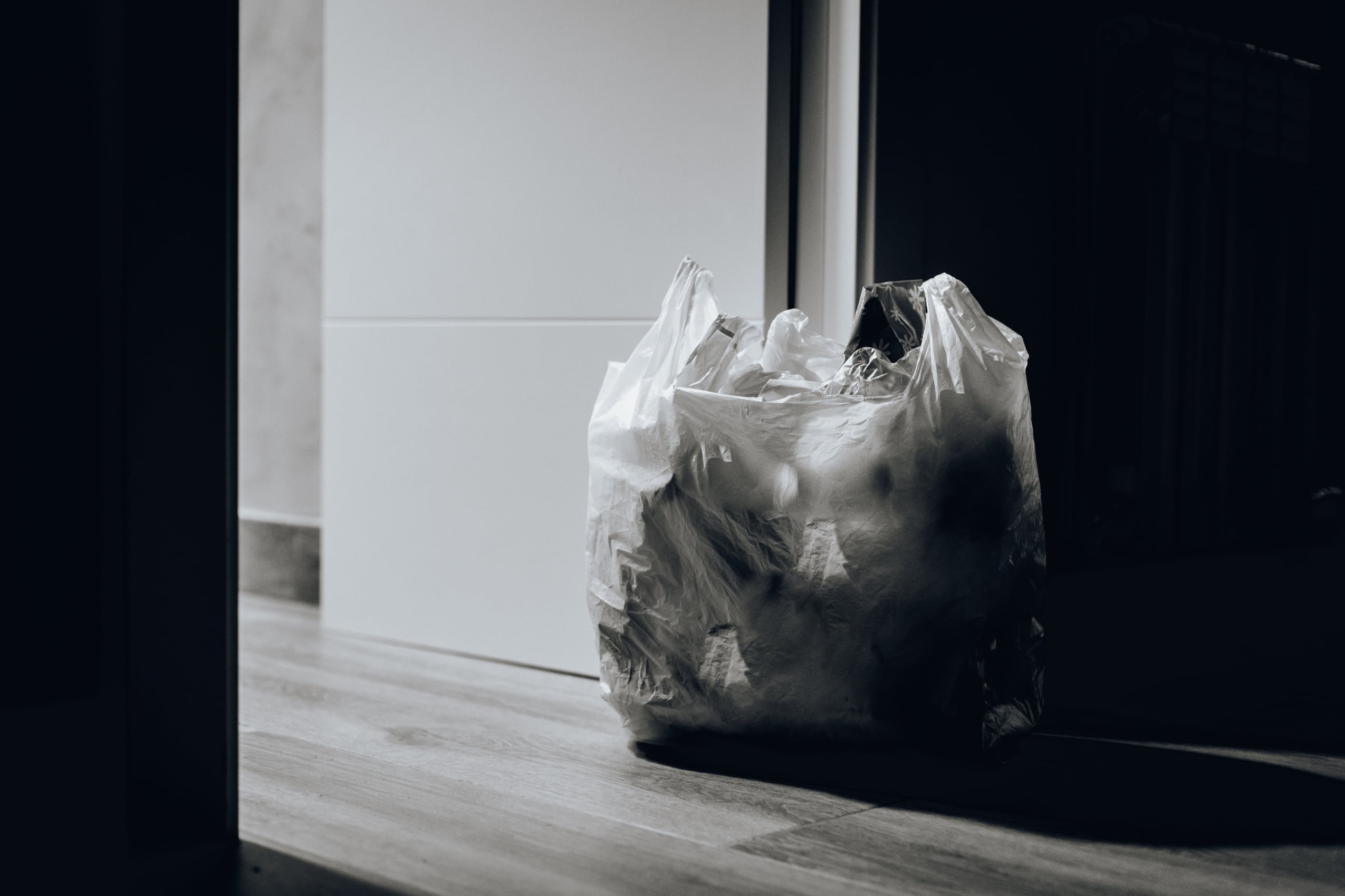 Montréal en action pour la transition écologique : entrée en vigueur de la réglementation sur l'interdiction des sacs d'emplettes en plastique